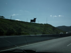 沿着西班牙高速公路行驶的奥斯本公牛