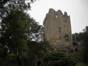 布拉尼城堡塔