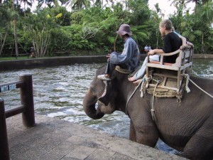 大象野生动物园公园，巴厘岛