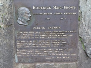 太平洋鲑鱼罗德里克·海格·布朗的颂歌