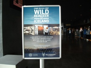 冰岛雷克雅未克Harpa的展览标志